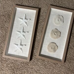 Coastal Starfish and Sand Dollar Wall Art Set